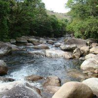 Denise Ribeiro corretora em Ilhabela