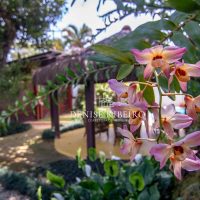 Temporada em Ilhabela